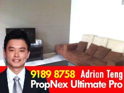 Everitt Road (D15), Terrace #909452